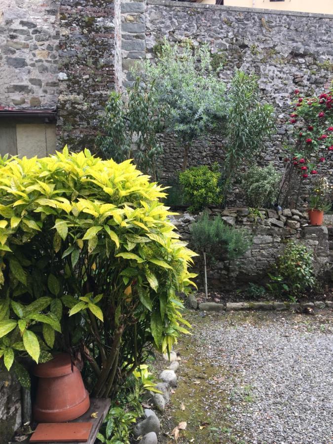 Barga Lucca Centro Storico Con Giardino公寓 外观 照片